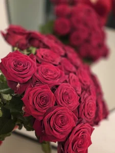 FollowYourSin: Valentine's Day ( 3 фото)