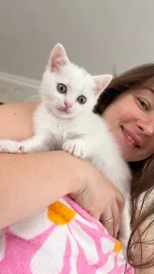 Zdjęcia cClandesTina Public: 