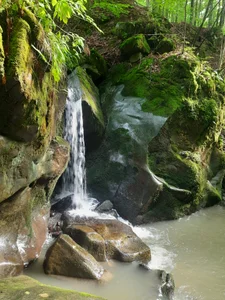 Cute_Smile_Shy rest Hình 4