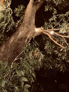 kenndall_21 🍁Day to enjoy life🍁 Pic 3