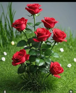 Ridhima_sony Public Pic