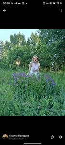 Zdjęcia AssolSoul Magic forest: 