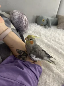 LunaMillie my bbys💟 Pic