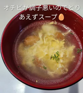 tomatocjin124 体調崩す時期ですね😷 Hình 2