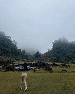 Iris_xyz Public зображення