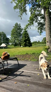 MelissaMelrey weekend Pic 3