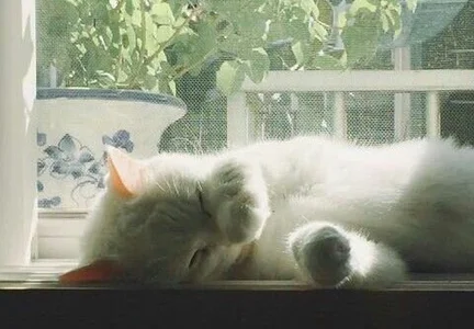 Abby_Taylorr Public Pic 3