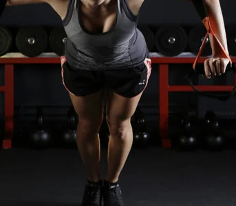 Zdjęcia Bobtail_Formal Public:  3