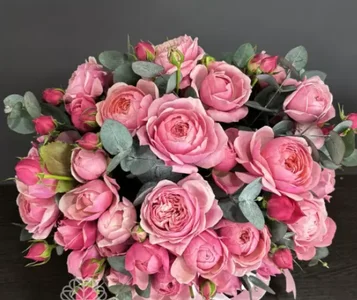 Audrey_Aura bouquet Hình 8