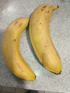 p13guy42 Public slika 5