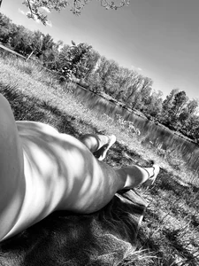 Harry_Tiger Public Bilde 5