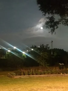 Public de AfroditaXX333 Foto 6