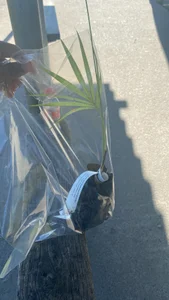 Public de agenor29 Foto 8