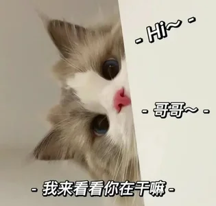 CN-xiaofeiのPublicの 2枚の写真