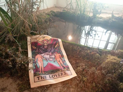 Silly__Milly a shop I work on with my donators, who I love dearly Foto 9