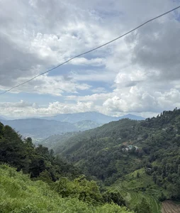 Alive045Public图片 7