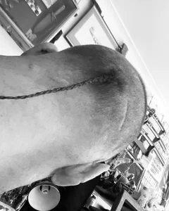 beg4mycutiepie0UlickのPublicの枚の写真