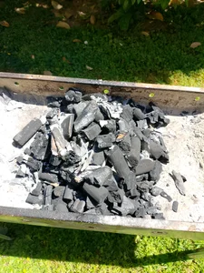 truble78 Back yard bbq Foto