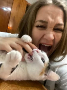 Miatiny Cat attack Bilde 3