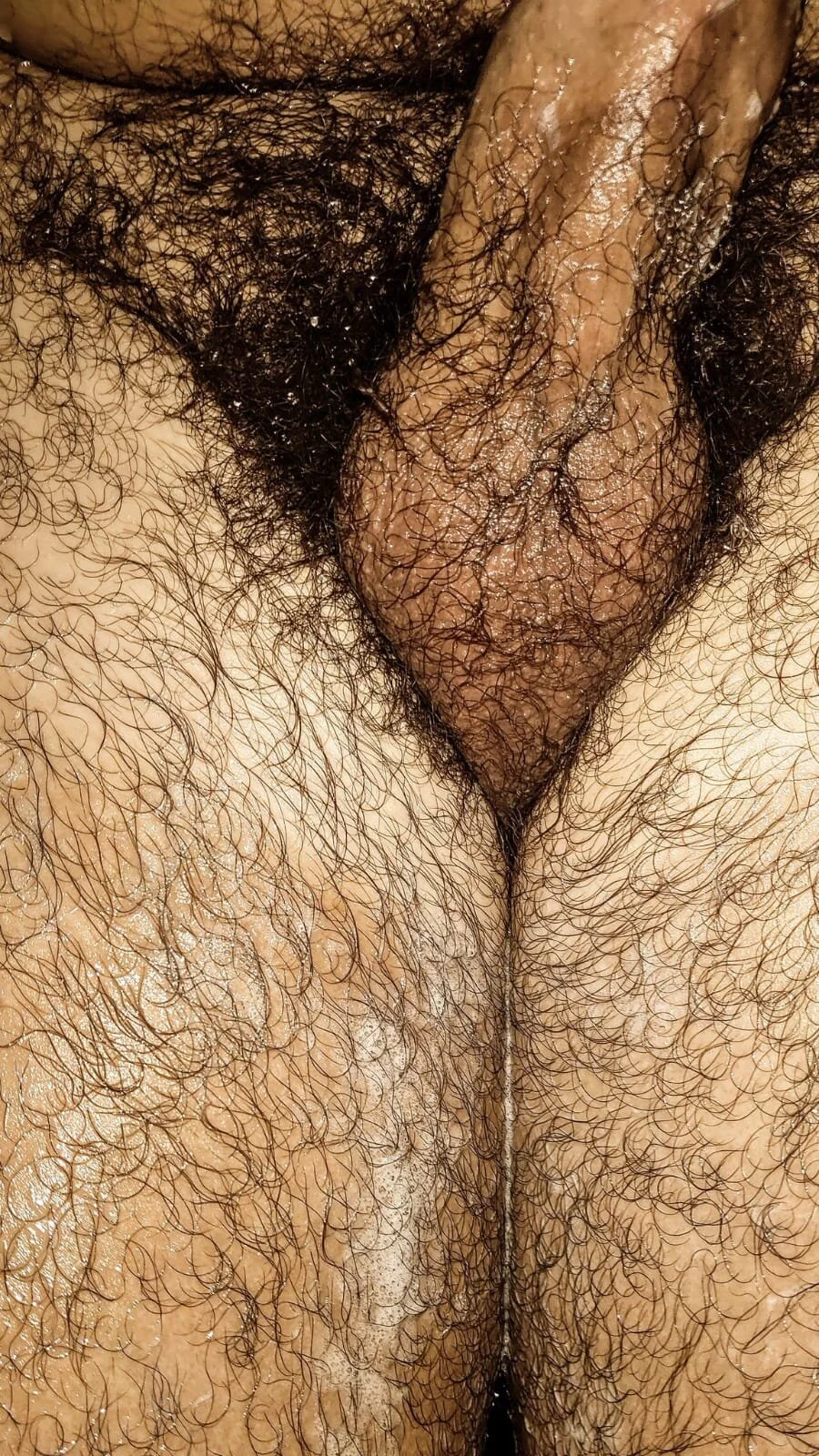 big__bearrr избранные изоб ражения 4941