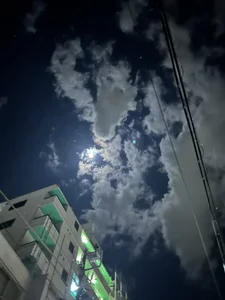 2024年