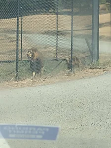 Evalain_shadow My Travels ✌️ Pic 4