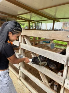 Shirleytaylor- 🌄 Pic 2