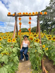 mia_slutty_ kullanıcısının Day off, enjoying my favorite flowers! albümü -  2 fotoğraf