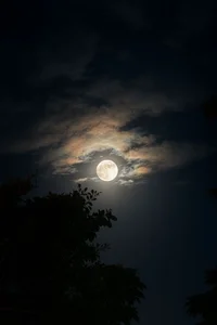 SonjaMonje Summer Pic 3