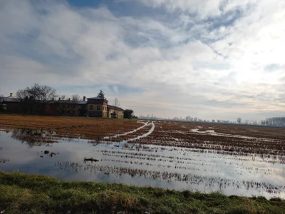 alessexxx24 Public Bilde 3