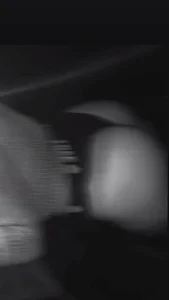 _Nou_TeeLa_ Public slika