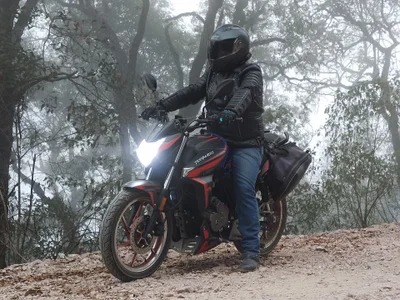 Davidort23 Gratis Foto 3