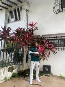 mike_aly 𝐑𝐨𝐦𝐚𝐧𝐭𝐢𝐜 𝐌𝐚𝐧 🌹 Εικόνα 2