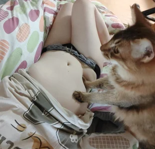 hazuki_8008 うちの猫ちゃんたちと Pic 2