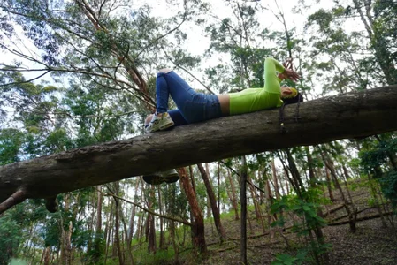 Bosque