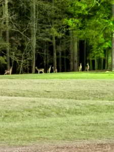 Andy_gray NATURE 🏞️ Fotka 3