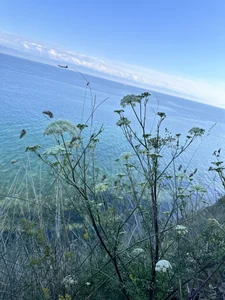 AriWild Hike 🏕️ Great Lake of Russia Baikal Pic 2
