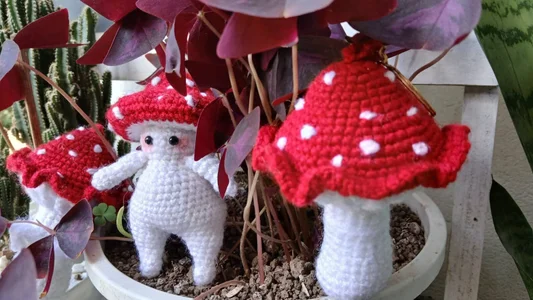 Lia_Carter_ Public 사진