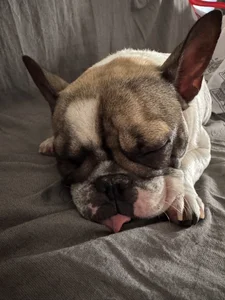 jimena-m Lo mejor de mi vida 😍 Pic 9