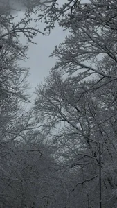 Zdjęcia JessicaJewells ❄️❄️❄️:  4