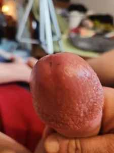 Public de Mic_Oxinner  7 Imagens