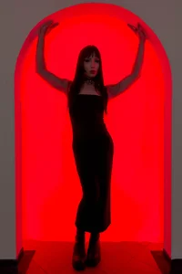 Draculairis Public Billede 4