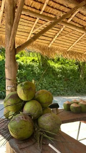 Kurohyooo Island mood 圖片 5