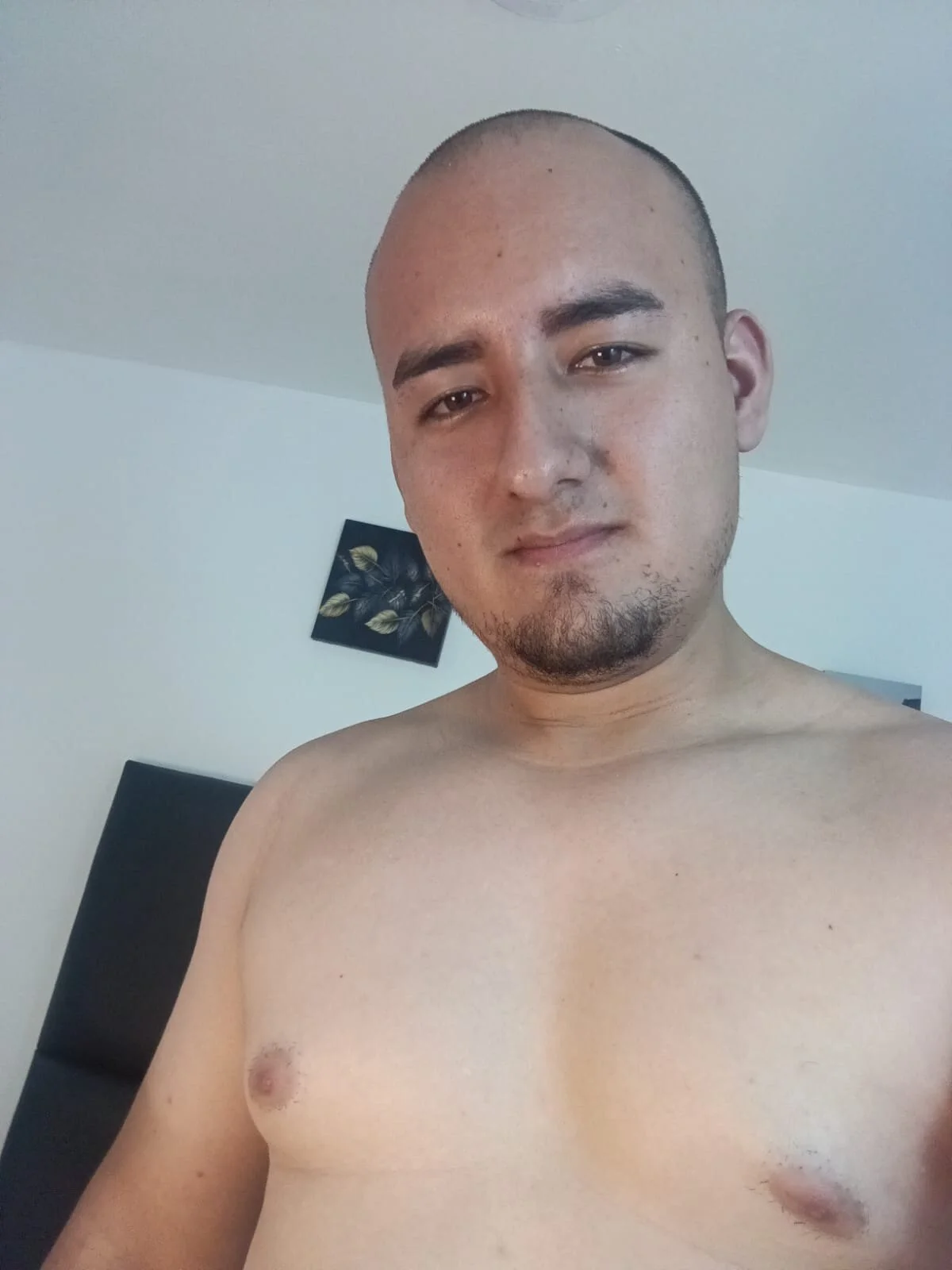 Трендове зображення  6119 Elgranfranco24s