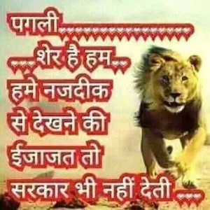 Neeta_raj Great@ Foto