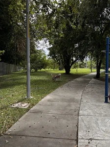 ghaydaa_jamilの:5の 2枚の写真