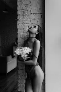 Donna_Evans elegant Donna Poză 3