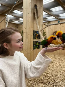 MiraBliss Public Foto 3