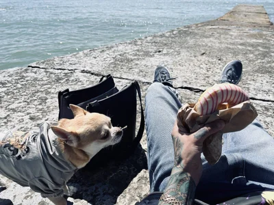 Cool_Freak_ Public  5টি ছবি