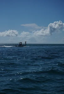 AshtonnSummer My Vacation 🏝️🥥 Gambar 7